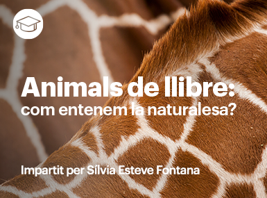 Animals de llibre: com entenem la naturalesa?